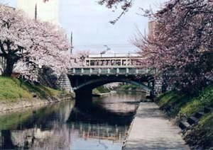 桜橋