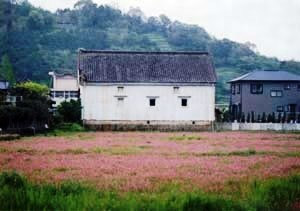 藤崎家住宅（赤松館）米蔵