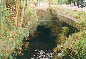 大平落中橋