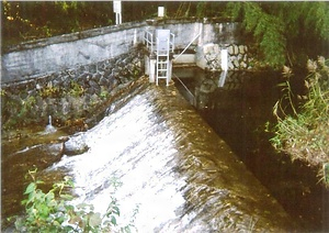 奥津発電所木路谷川取水堰堤