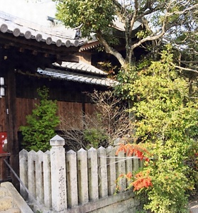 泊神社幣殿