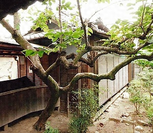 感田神社齋館