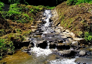 己り地沢石張水路工