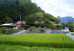 中村家住宅石垣