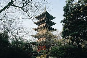 旧寛永寺五重塔