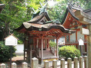 泉穴師神社摂社住吉神社本殿