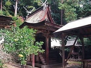 矢田坐久志玉比古神社 本殿