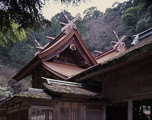 美保神社本殿