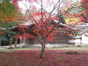 如法寺仏殿