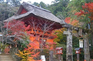 六殿神社楼門