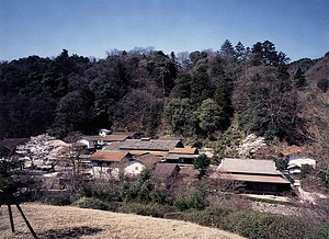 櫻井家住宅（島根県仁多郡仁多町上阿井） 主屋