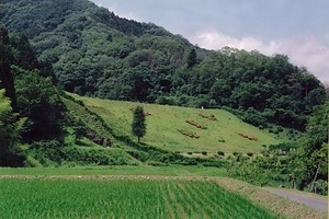 舞鶴旧鎮守府水道施設 岸谷川下流取水堰堤