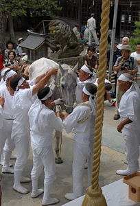 相馬野馬追