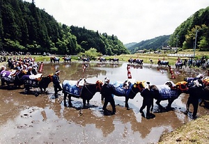 大山供養田植