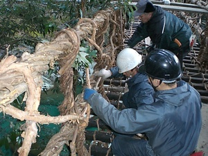 蔓橋の製作工程