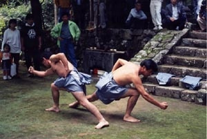 養父のネッテイ相撲