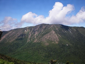 早池峰山および薬師岳の高山帯・森林植物群落