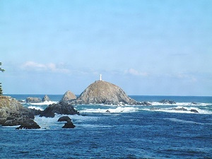 椿島ウミネコ繁殖地