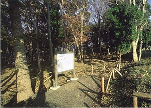 飯野坂古墳群