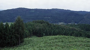 檜山安東氏城館跡<br />
　檜山城跡<br />
　大館跡<br />
　茶臼館跡