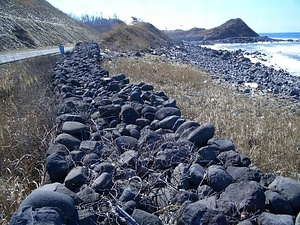 由利海岸波除石垣