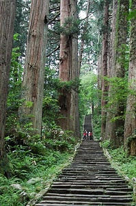 羽黒山のスギ並木