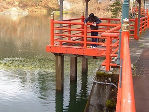 柳津ウグイ生息地