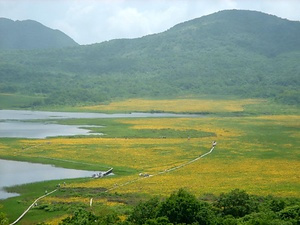 雄国沼湿原植物群落