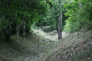 阿津賀志山防塁