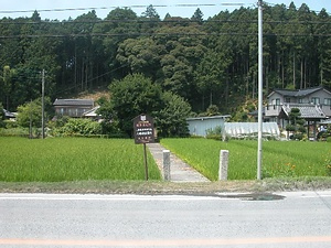 片庭ヒメハルゼミ発生地