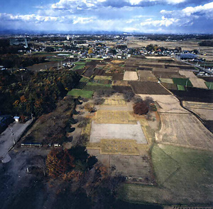 下野国分尼寺跡