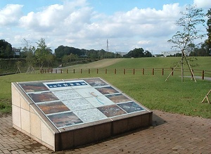 寺野東遺跡