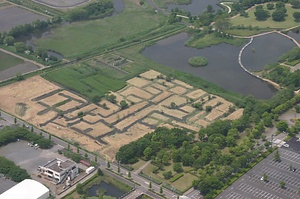 宝蔵寺沼ムジナモ自生地