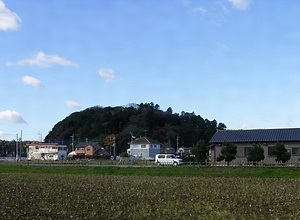 鶴枝ヒメハルゼミ発生地