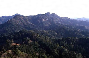 高宕山のサル生息地