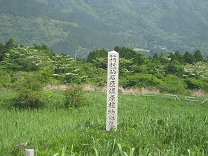 箱根仙石原湿原植物群落