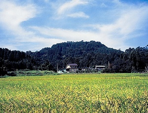 春日山城跡