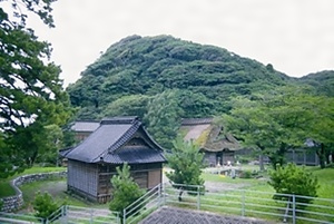 能生白山神社社叢