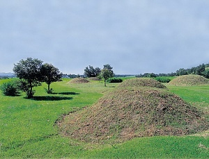 宮口古墳群