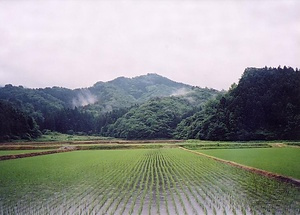 奥山荘城館遺跡