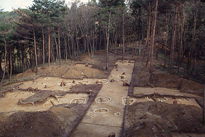 八幡林官衙遺跡