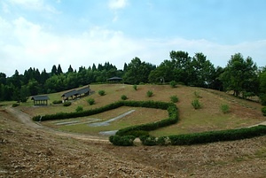 小杉丸山遺跡