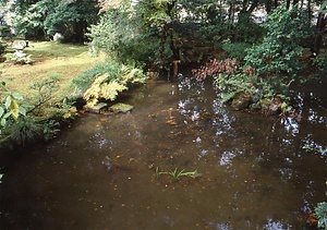 那谷寺庫裡庭園