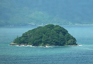 蒼島暖地性植物群落