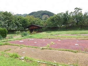 勝沼氏館跡