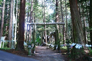 三岳のブッポウソウ繁殖地