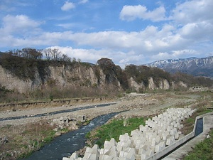 十三崖のチョウゲンボウ繁殖地