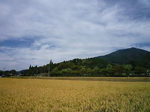 関ヶ原古戦場<BR/>　附　徳川家康最初陣地<BR/>　徳川家康最後陣地<BR/>　石田三成陣地<BR/>　岡山烽火場<BR/>　大谷吉隆墓<BR/>　東首塚<BR/>　西首塚