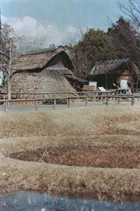 登呂遺跡