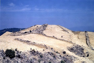 新豊院山古墳群